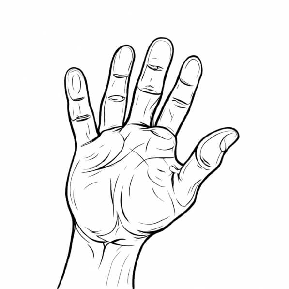 T l charger Illustration D une Main Ouverte Pages De Coloriage En Ligne T l charger Illustration D une Main Ouverte Pages De Coloriage En Ligne