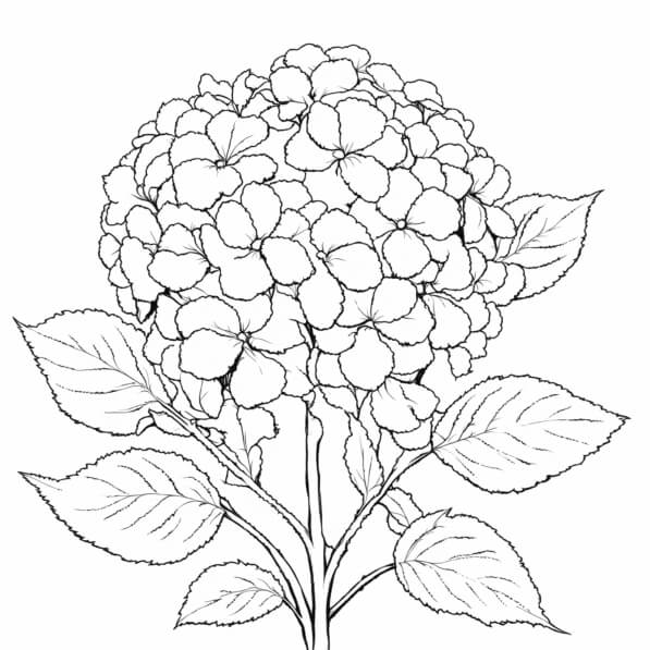 2 Ortensie Artificiali Bianche Real Touch In Lattice - Alte 53,3 Cm, Con Steli Piega Bili - Per Bouquet E Decorazioni - 2