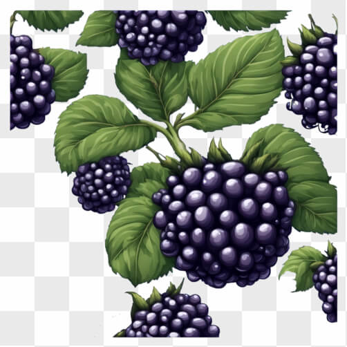 Vibrant Blackberries with Green Leaves Patterns Vibrant Blackberries with Green Leaves Patterns thumbnail