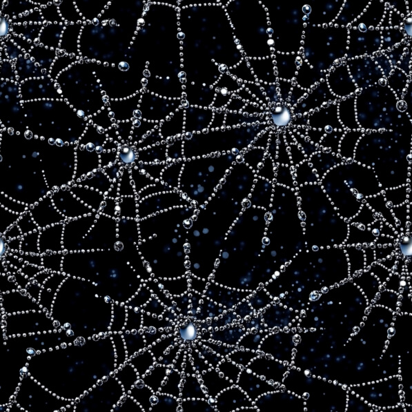 Download Glistening Spider Webs with Water Droplets Patterns Online ...