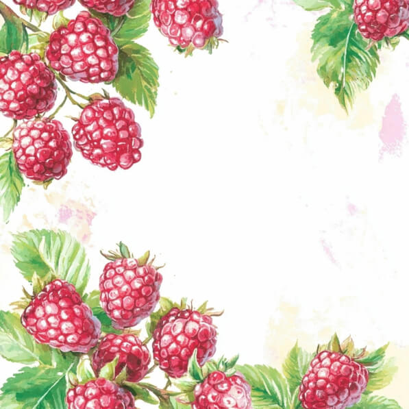 Faint Raspberry Background Download Fresh Raspberries with Green Leaves Backgrounds Online ...