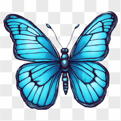 Illustrated Blue Butterfly Patterns Illustrated Blue Butterfly Patterns thumbnail