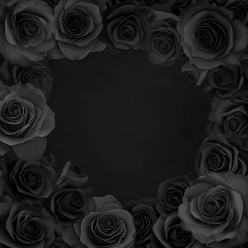 Download Elegant Black Rose Background Backgrounds Online - Creative ...