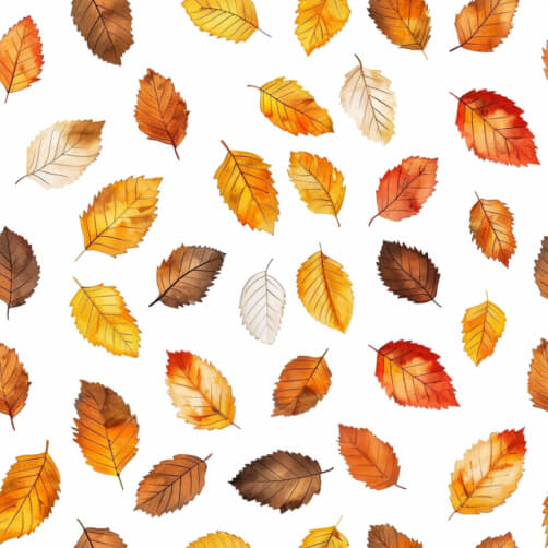 Autumn Leaves on White Background Autumn Leaves on White Background thumbnail