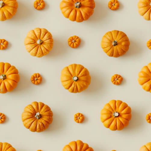 Arrangement of Orange Pumpkins on Light Background Arrangement of Orange Pumpkins on Light Background thumbnail