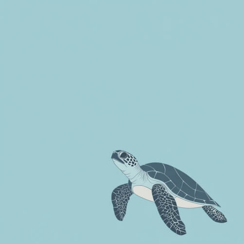 Sea Turtle Backgrounds - Download Free & Premium Transparent Sea Turtle ...