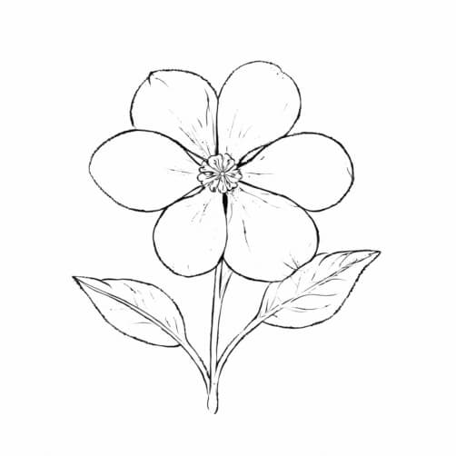 Esboço Detalhado de uma Flor Planos de Fundo Esboço Detalhado de uma Flor Planos de Fundo thumbnail