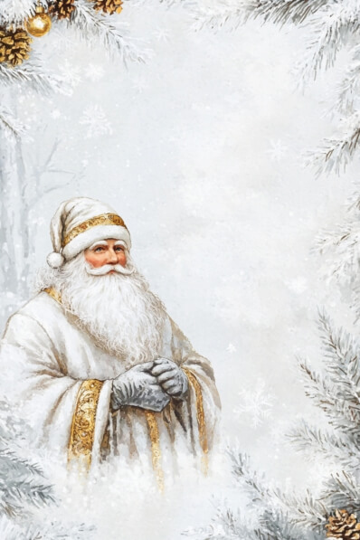 Download Cheerful Santa Claus in a Winter Wonderland Backgrounds Online ...
