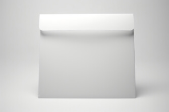 Plain White Envelope Plain White Envelope thumbnail