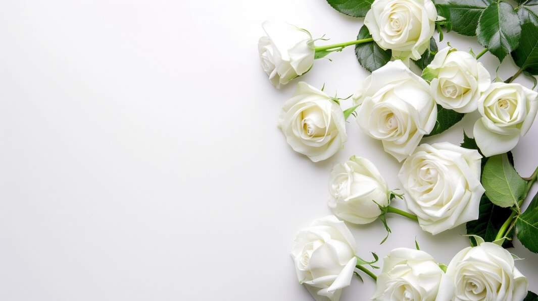 White Roses Thumbnail Download Elegant Arrangement of White Roses Backgrounds Online ...