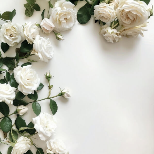 White Roses Overlay Download Arrangement of White Roses Backgrounds Online - Creative Fabrica