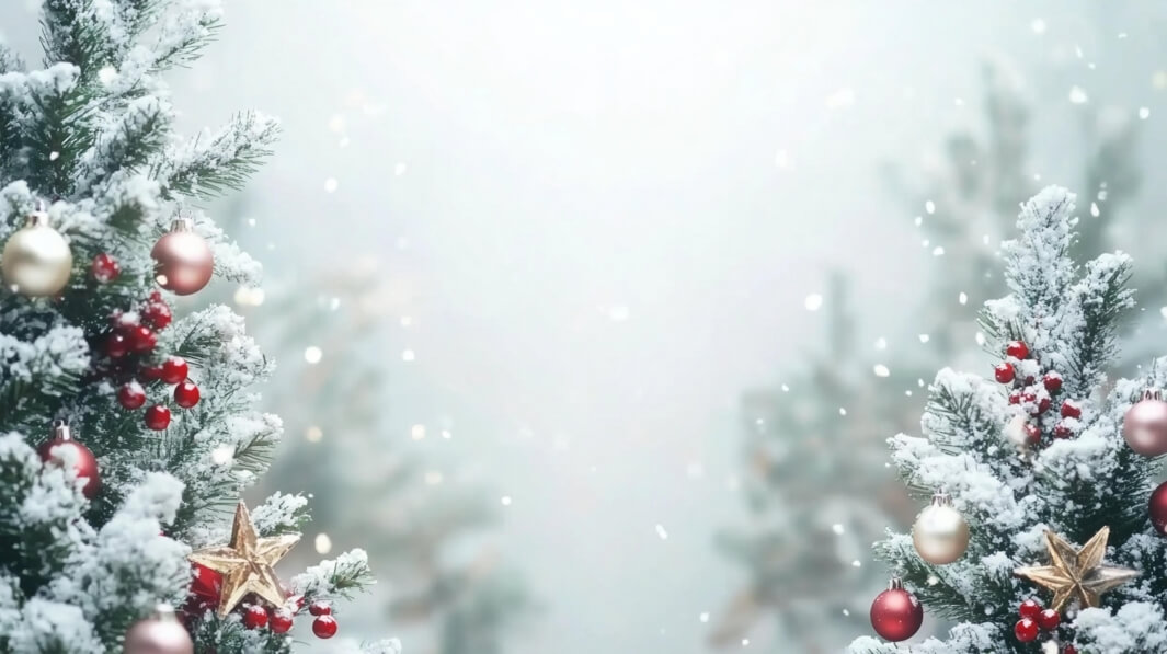 Download Decorated Christmas Trees in a Winter Wonderland Backgrounds ...