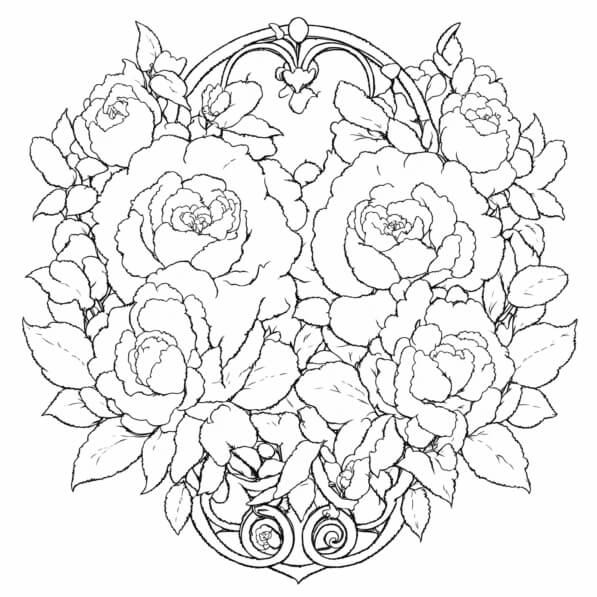 Download Intricate Line Drawing of Roses Coloring pages Online ...