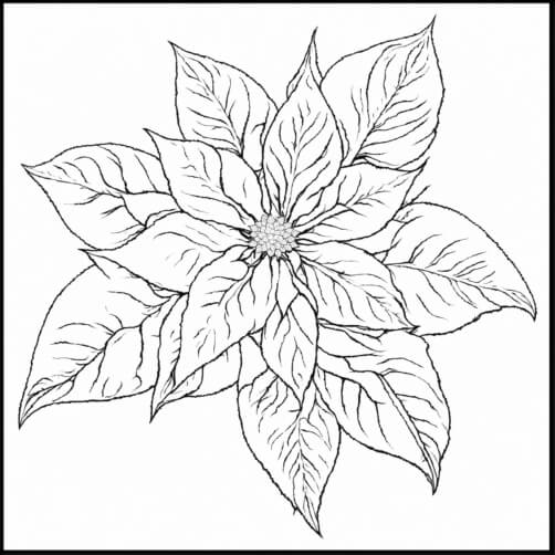 Download Detailed line drawing of a daisy flower Coloring pages Online ...