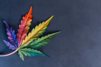 Vibrant Rainbow Cannabis Leaf on Dark Background Patterns Vibrant Rainbow Cannabis Leaf on Dark Background Patterns thumbnail