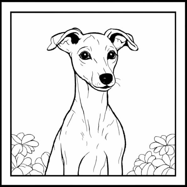 Download Illustration of an Italian Greyhound with flowers Coloring ...