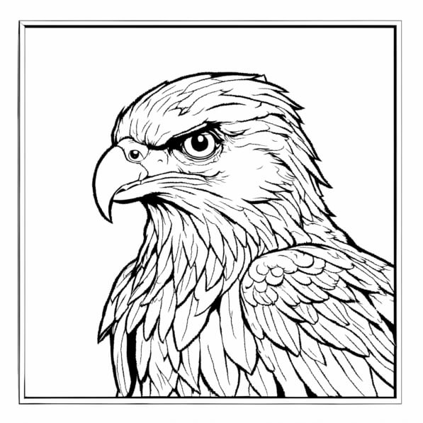 Download Detailed Line Drawing of an Eagle Coloring pages Online ...