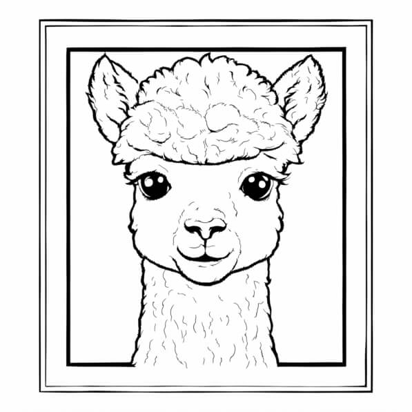 Niedliche Alpaka-Illustration Malvorlagen online herunterladen  Creative  Fabrica