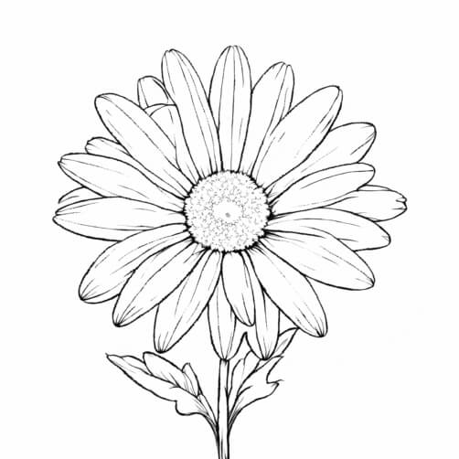 Download Intricate Line Drawing of a Daisy Flower Coloring pages Online ...