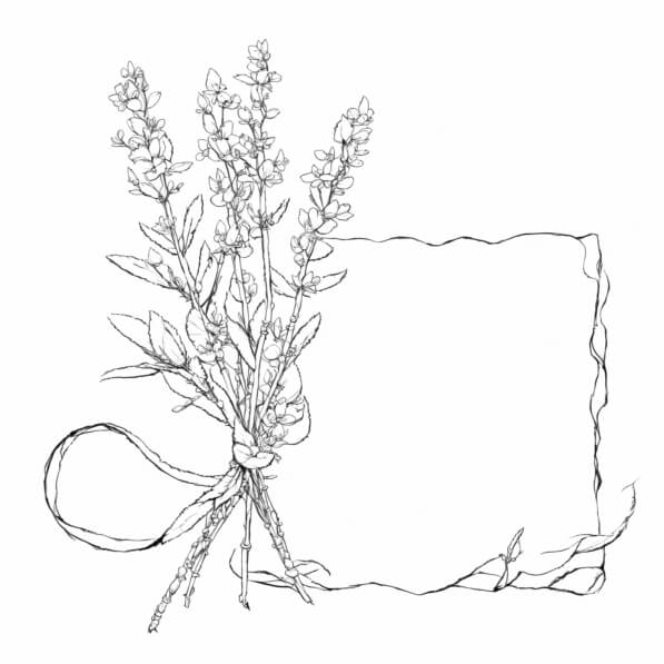 Download Floral Illustration With Blank Paper Coloring Pages Online Download floral illustration with blank paper coloring pages online