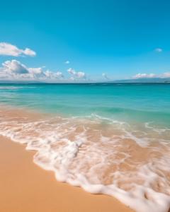 Beautiful Picture of a Tropical Beach with Clear Blue Water and White Sand
