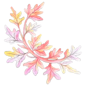 Colorier des feuilles d'automne (printable à télécharger) - Cabane