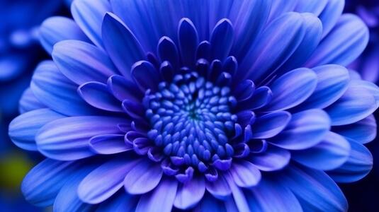 Flor Azul com Pétalas Circulares thumbnail
