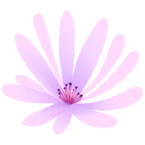 Beautiful Purple Flower With