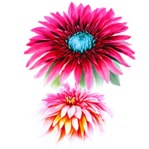 Scarica Bellissimi fiori rosa e blu su uno sfondo scuro PNG Online -  Creative Fabrica