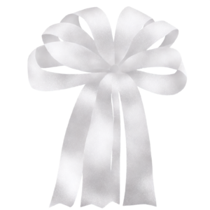 Emballage Cadeau Branches De Modèle Sans Couture Ciseaux Ruban Corde Et  Papier écologique Artisanal Sur Fond Blanc