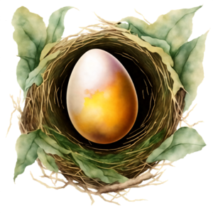 Single Egg transparent PNG - StickPNG