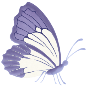 KROWN - Cañón de Mariposas Blancas Para Bodas, Cañon de Confetti Blanco en  Forma de Mariposas, Bodas