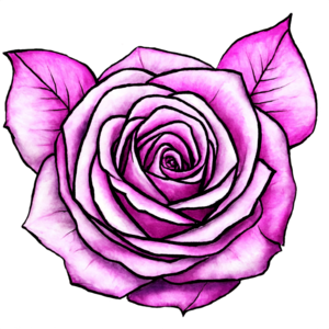 Scarica Bellissima Rosa Rosa con Foglie Viola PNG Online - Creative Fabrica