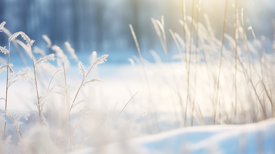 Paisagem de Inverno com Campo Coberto de Neve thumbnail