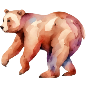 Scarica Opera d'arte ad acquerello di un orso su sfondo nero PNG Online - Creative  Fabrica