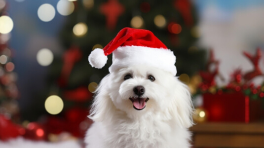 Happy Dog in Santa Hat During Christmas Season Patterns thumbnail