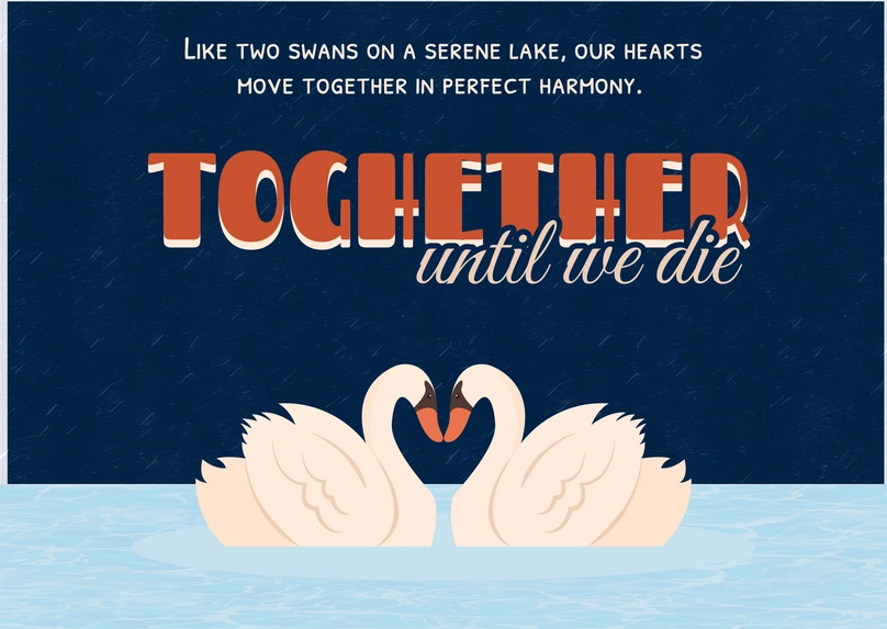 Swans in Love