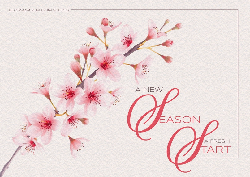Cherry Blossoms