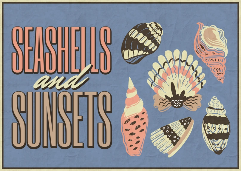Illustration of seashells on a textured background