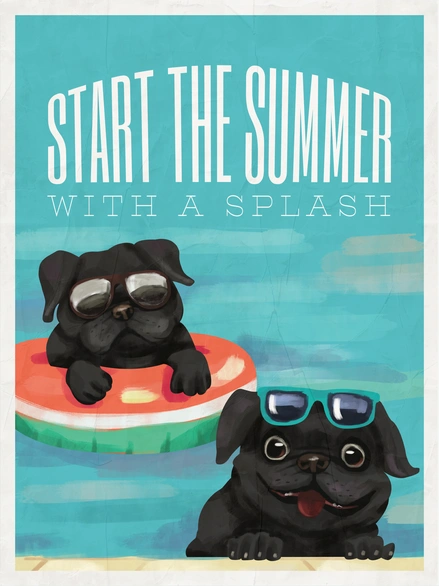Dogs enjoying summer