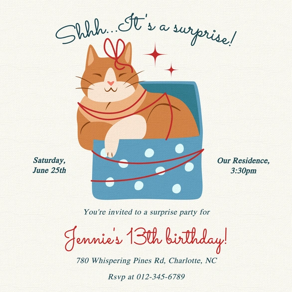 Birthday Party Invitation