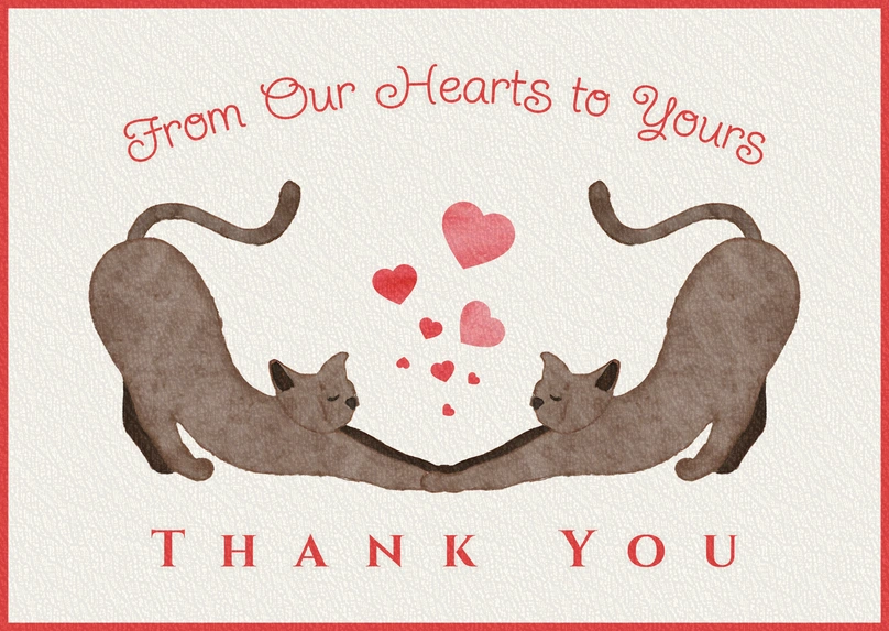 Cats expressing gratitude