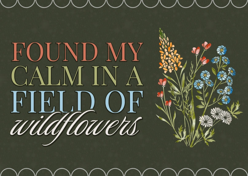 Wildflowers and Tranquility