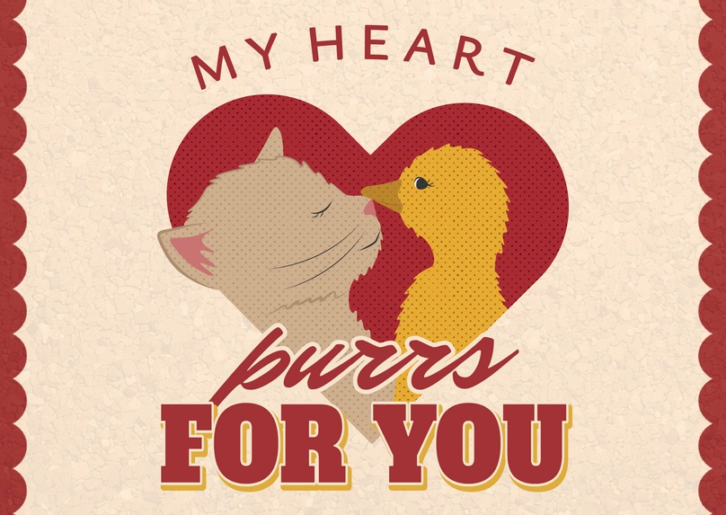 A cat and duck in love