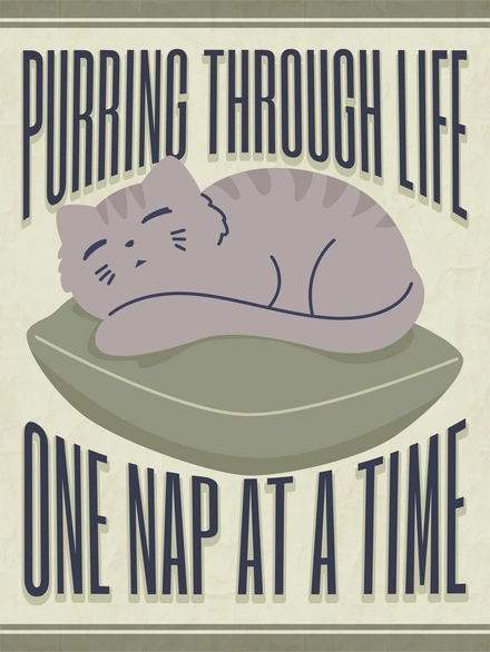 Cat lounging on a pillow