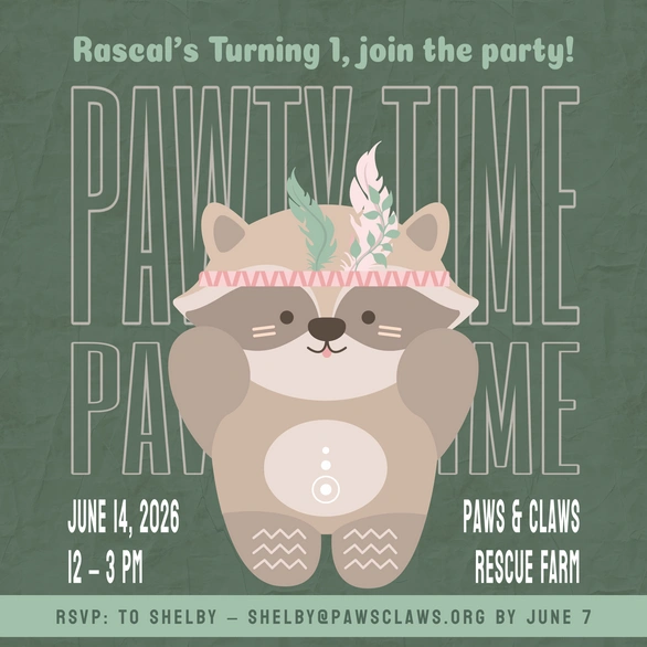 1st Birthday Party for Rascal