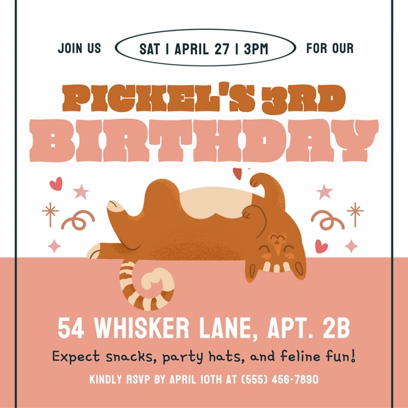 Cat Birthday Party