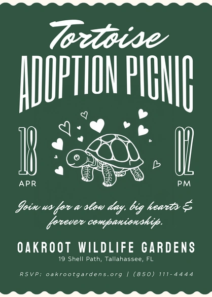 Tortoise adoption event
