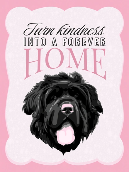 Dog Adoption Poster