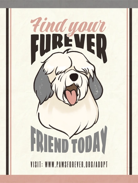 Pet Adoption